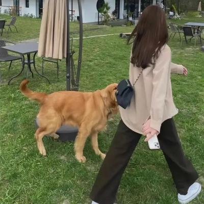 人类之子